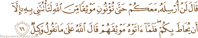 قَالَ لَنْ أُرْسِلَهُ مَعَكُمْ حَتَّىٰ تُؤْتُونِ مَوْثِقًا مِنَ اللَّهِ لَتَأْتُنَّنِي بِهِ إِلَّا أَنْ يُحَاطَ بِكُمْ ۖ فَلَمَّا آتَوْهُ مَوْثِقَهُمْ قَالَ اللَّهُ عَلَىٰ مَا نَقُولُ وَكِيلٌ