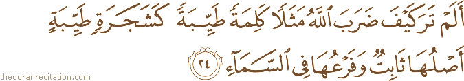 أَلَمْ تَرَ كَيْفَ ضَرَبَ اللَّهُ مَثَلًا كَلِمَةً طَيِّبَةً كَشَجَرَةٍ طَيِّبَةٍ أَصْلُهَا ثَابِتٌ وَفَرْعُهَا فِي السَّمَاءِ