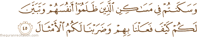 وَسَكَنْتُمْ فِي مَسَاكِنِ الَّذِينَ ظَلَمُوا أَنْفُسَهُمْ وَتَبَيَّنَ لَكُمْ كَيْفَ فَعَلْنَا بِهِمْ وَضَرَبْنَا لَكُمُ الْأَمْثَالَ