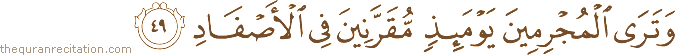 وَتَرَى الْمُجْرِمِينَ يَوْمَئِذٍ مُقَرَّنِينَ فِي الْأَصْفَادِ