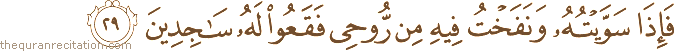 فَإِذَا سَوَّيْتُهُ وَنَفَخْتُ فِيهِ مِنْ رُوحِي فَقَعُوا لَهُ سَاجِدِينَ