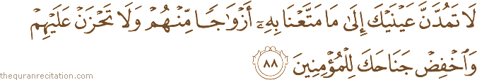 لَا تَمُدَّنَّ عَيْنَيْكَ إِلَىٰ مَا مَتَّعْنَا بِهِ أَزْوَاجًا مِنْهُمْ وَلَا تَحْزَنْ عَلَيْهِمْ وَاخْفِضْ جَنَاحَكَ لِلْمُؤْمِنِينَ