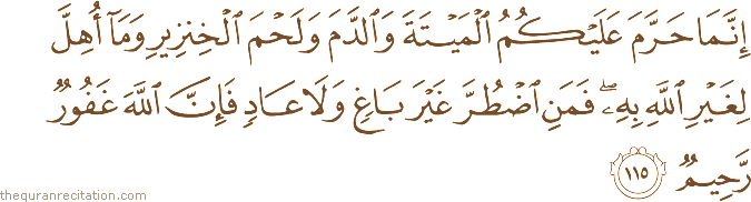 إِنَّمَا حَرَّمَ عَلَيْكُمُ الْمَيْتَةَ وَالدَّمَ وَلَحْمَ الْخِنْزِيرِ وَمَا أُهِلَّ لِغَيْرِ اللَّهِ بِهِ ۖ فَمَنِ اضْطُرَّ غَيْرَ بَاغٍ وَلَا عَادٍ فَإِنَّ اللَّهَ غَفُورٌ رَحِيمٌ