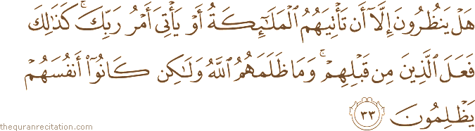 هَلْ يَنْظُرُونَ إِلَّا أَنْ تَأْتِيَهُمُ الْمَلَائِكَةُ أَوْ يَأْتِيَ أَمْرُ رَبِّكَ ۚ كَذَٰلِكَ فَعَلَ الَّذِينَ مِنْ قَبْلِهِمْ ۚ وَمَا ظَلَمَهُمُ اللَّهُ وَلَٰكِنْ كَانُوا أَنْفُسَهُمْ يَظْلِمُونَ
