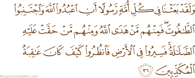 وَلَقَدْ بَعَثْنَا فِي كُلِّ أُمَّةٍ رَسُولًا أَنِ اعْبُدُوا اللَّهَ وَاجْتَنِبُوا الطَّاغُوتَ ۖ فَمِنْهُمْ مَنْ هَدَى اللَّهُ وَمِنْهُمْ مَنْ حَقَّتْ عَلَيْهِ الضَّلَالَةُ ۚ فَسِيرُوا فِي الْأَرْضِ فَانْظُرُوا كَيْفَ كَانَ عَاقِبَةُ الْمُكَذِّبِينَ