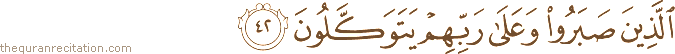 الَّذِينَ صَبَرُوا وَعَلَىٰ رَبِّهِمْ يَتَوَكَّلُونَ