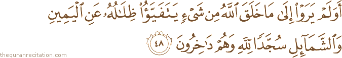 أَوَلَمْ يَرَوْا إِلَىٰ مَا خَلَقَ اللَّهُ مِنْ شَيْءٍ يَتَفَيَّأُ ظِلَالُهُ عَنِ الْيَمِينِ وَالشَّمَائِلِ سُجَّدًا لِلَّهِ وَهُمْ دَاخِرُونَ