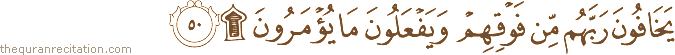 يَخَافُونَ رَبَّهُمْ مِنْ فَوْقِهِمْ وَيَفْعَلُونَ مَا يُؤْمَرُونَ ۩
