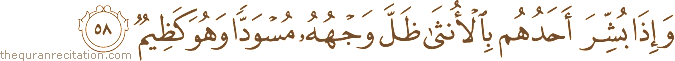 وَإِذَا بُشِّرَ أَحَدُهُمْ بِالْأُنْثَىٰ ظَلَّ وَجْهُهُ مُسْوَدًّا وَهُوَ كَظِيمٌ