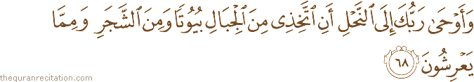 وَأَوْحَىٰ رَبُّكَ إِلَى النَّحْلِ أَنِ اتَّخِذِي مِنَ الْجِبَالِ بُيُوتًا وَمِنَ الشَّجَرِ وَمِمَّا يَعْرِشُونَ