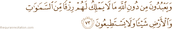 وَيَعْبُدُونَ مِنْ دُونِ اللَّهِ مَا لَا يَمْلِكُ لَهُمْ رِزْقًا مِنَ السَّمَاوَاتِ وَالْأَرْضِ شَيْئًا وَلَا يَسْتَطِيعُونَ