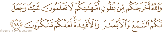 وَاللَّهُ أَخْرَجَكُمْ مِنْ بُطُونِ أُمَّهَاتِكُمْ لَا تَعْلَمُونَ شَيْئًا وَجَعَلَ لَكُمُ السَّمْعَ وَالْأَبْصَارَ وَالْأَفْئِدَةَ ۙ لَعَلَّكُمْ تَشْكُرُونَ