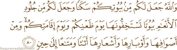 وَاللَّهُ جَعَلَ لَكُمْ مِنْ بُيُوتِكُمْ سَكَنًا وَجَعَلَ لَكُمْ مِنْ جُلُودِ الْأَنْعَامِ بُيُوتًا تَسْتَخِفُّونَهَا يَوْمَ ظَعْنِكُمْ وَيَوْمَ إِقَامَتِكُمْ ۙ وَمِنْ أَصْوَافِهَا وَأَوْبَارِهَا وَأَشْعَارِهَا أَثَاثًا وَمَتَاعًا إِلَىٰ حِينٍ