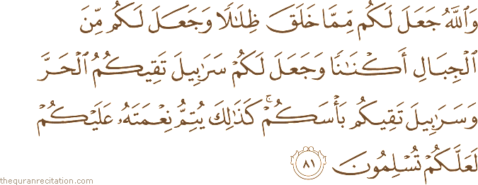 وَاللَّهُ جَعَلَ لَكُمْ مِمَّا خَلَقَ ظِلَالًا وَجَعَلَ لَكُمْ مِنَ الْجِبَالِ أَكْنَانًا وَجَعَلَ لَكُمْ سَرَابِيلَ تَقِيكُمُ الْحَرَّ وَسَرَابِيلَ تَقِيكُمْ بَأْسَكُمْ ۚ كَذَٰلِكَ يُتِمُّ نِعْمَتَهُ عَلَيْكُمْ لَعَلَّكُمْ تُسْلِمُونَ
