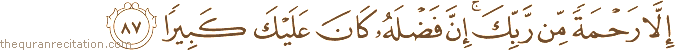 إِلَّا رَحْمَةً مِنْ رَبِّكَ ۚ إِنَّ فَضْلَهُ كَانَ عَلَيْكَ كَبِيرًا