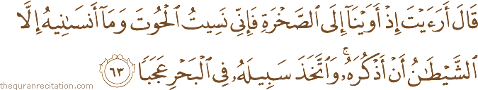 قَالَ أَرَأَيْتَ إِذْ أَوَيْنَا إِلَى الصَّخْرَةِ فَإِنِّي نَسِيتُ الْحُوتَ وَمَا أَنْسَانِيهُ إِلَّا الشَّيْطَانُ أَنْ أَذْكُرَهُ ۚ وَاتَّخَذَ سَبِيلَهُ فِي الْبَحْرِ عَجَبًا