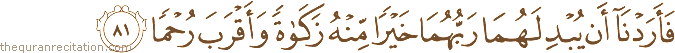 فَأَرَدْنَا أَنْ يُبْدِلَهُمَا رَبُّهُمَا خَيْرًا مِنْهُ زَكَاةً وَأَقْرَبَ رُحْمًا