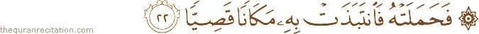 فَحَمَلَتْهُ فَانْتَبَذَتْ بِهِ مَكَانًا قَصِيًّا