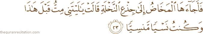 فَأَجَاءَهَا الْمَخَاضُ إِلَىٰ جِذْعِ النَّخْلَةِ قَالَتْ يَا لَيْتَنِي مِتُّ قَبْلَ هَٰذَا وَكُنْتُ نَسْيًا مَنْسِيًّا
