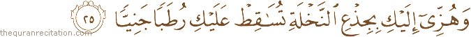 وَهُزِّي إِلَيْكِ بِجِذْعِ النَّخْلَةِ تُسَاقِطْ عَلَيْكِ رُطَبًا جَنِيًّا