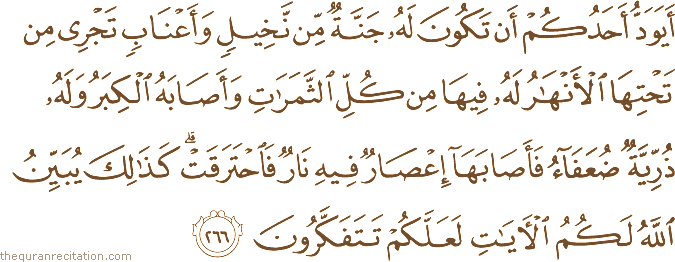 أَيَوَدُّ أَحَدُكُمْ أَنْ تَكُونَ لَهُ جَنَّةٌ مِنْ نَخِيلٍ وَأَعْنَابٍ تَجْرِي مِنْ تَحْتِهَا الْأَنْهَارُ لَهُ فِيهَا مِنْ كُلِّ الثَّمَرَاتِ وَأَصَابَهُ الْكِبَرُ وَلَهُ ذُرِّيَّةٌ ضُعَفَاءُ فَأَصَابَهَا إِعْصَارٌ فِيهِ نَارٌ فَاحْتَرَقَتْ ۗ كَذَٰلِكَ يُبَيِّنُ اللَّهُ لَكُمُ الْآيَاتِ لَعَلَّكُمْ تَتَفَكَّرُونَ