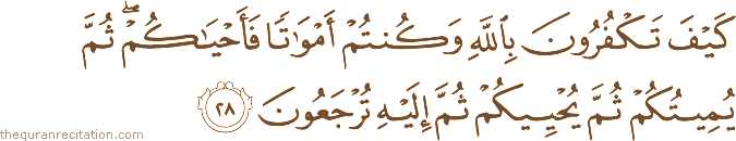 كَيْفَ تَكْفُرُونَ بِاللَّهِ وَكُنْتُمْ أَمْوَاتًا فَأَحْيَاكُمْ ۖ ثُمَّ يُمِيتُكُمْ ثُمَّ يُحْيِيكُمْ ثُمَّ إِلَيْهِ تُرْجَعُونَ