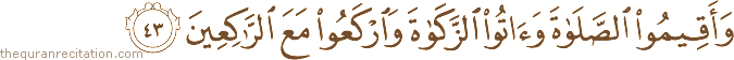 وَأَقِيمُوا الصَّلَاةَ وَآتُوا الزَّكَاةَ وَارْكَعُوا مَعَ الرَّاكِعِينَ
