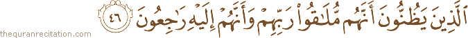 الَّذِينَ يَظُنُّونَ أَنَّهُمْ مُلَاقُو رَبِّهِمْ وَأَنَّهُمْ إِلَيْهِ رَاجِعُونَ