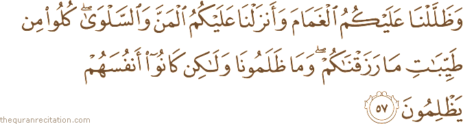 وَظَلَّلْنَا عَلَيْكُمُ الْغَمَامَ وَأَنْزَلْنَا عَلَيْكُمُ الْمَنَّ وَالسَّلْوَىٰ ۖ كُلُوا مِنْ طَيِّبَاتِ مَا رَزَقْنَاكُمْ ۖ وَمَا ظَلَمُونَا وَلَٰكِنْ كَانُوا أَنْفُسَهُمْ يَظْلِمُونَ