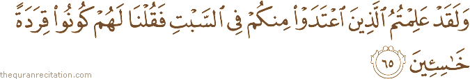 وَلَقَدْ عَلِمْتُمُ الَّذِينَ اعْتَدَوْا مِنْكُمْ فِي السَّبْتِ فَقُلْنَا لَهُمْ كُونُوا قِرَدَةً خَاسِئِينَ