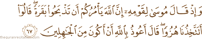 وَإِذْ قَالَ مُوسَىٰ لِقَوْمِهِ إِنَّ اللَّهَ يَأْمُرُكُمْ أَنْ تَذْبَحُوا بَقَرَةً ۖ قَالُوا أَتَتَّخِذُنَا هُزُوًا ۖ قَالَ أَعُوذُ بِاللَّهِ أَنْ أَكُونَ مِنَ الْجَاهِلِينَ