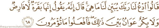 قَالُوا ادْعُ لَنَا رَبَّكَ يُبَيِّنْ لَنَا مَا هِيَ ۚ قَالَ إِنَّهُ يَقُولُ إِنَّهَا بَقَرَةٌ لَا فَارِضٌ وَلَا بِكْرٌ عَوَانٌ بَيْنَ ذَٰلِكَ ۖ فَافْعَلُوا مَا تُؤْمَرُونَ