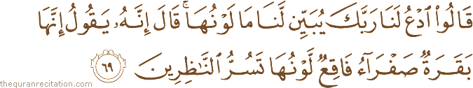 قَالُوا ادْعُ لَنَا رَبَّكَ يُبَيِّنْ لَنَا مَا لَوْنُهَا ۚ قَالَ إِنَّهُ يَقُولُ إِنَّهَا بَقَرَةٌ صَفْرَاءُ فَاقِعٌ لَوْنُهَا تَسُرُّ النَّاظِرِينَ