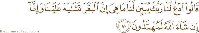 قَالُوا ادْعُ لَنَا رَبَّكَ يُبَيِّنْ لَنَا مَا هِيَ إِنَّ الْبَقَرَ تَشَابَهَ عَلَيْنَا وَإِنَّا إِنْ شَاءَ اللَّهُ لَمُهْتَدُونَ