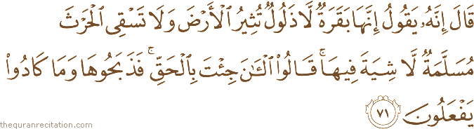 قَالَ إِنَّهُ يَقُولُ إِنَّهَا بَقَرَةٌ لَا ذَلُولٌ تُثِيرُ الْأَرْضَ وَلَا تَسْقِي الْحَرْثَ مُسَلَّمَةٌ لَا شِيَةَ فِيهَا ۚ قَالُوا الْآنَ جِئْتَ بِالْحَقِّ ۚ فَذَبَحُوهَا وَمَا كَادُوا يَفْعَلُونَ