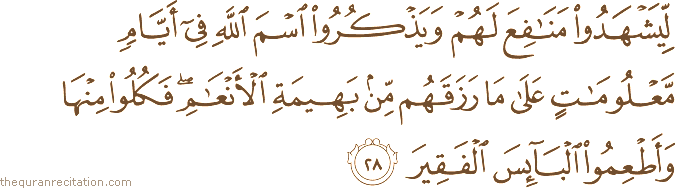 لِيَشْهَدُوا مَنَافِعَ لَهُمْ وَيَذْكُرُوا اسْمَ اللَّهِ فِي أَيَّامٍ مَعْلُومَاتٍ عَلَىٰ مَا رَزَقَهُمْ مِنْ بَهِيمَةِ الْأَنْعَامِ ۖ فَكُلُوا مِنْهَا وَأَطْعِمُوا الْبَائِسَ الْفَقِيرَ