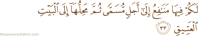 لَكُمْ فِيهَا مَنَافِعُ إِلَىٰ أَجَلٍ مُسَمًّى ثُمَّ مَحِلُّهَا إِلَى الْبَيْتِ الْعَتِيقِ