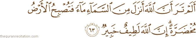 أَلَمْ تَرَ أَنَّ اللَّهَ أَنْزَلَ مِنَ السَّمَاءِ مَاءً فَتُصْبِحُ الْأَرْضُ مُخْضَرَّةً ۗ إِنَّ اللَّهَ لَطِيفٌ خَبِيرٌ