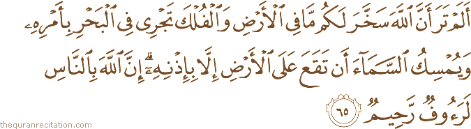 أَلَمْ تَرَ أَنَّ اللَّهَ سَخَّرَ لَكُمْ مَا فِي الْأَرْضِ وَالْفُلْكَ تَجْرِي فِي الْبَحْرِ بِأَمْرِهِ وَيُمْسِكُ السَّمَاءَ أَنْ تَقَعَ عَلَى الْأَرْضِ إِلَّا بِإِذْنِهِ ۗ إِنَّ اللَّهَ بِالنَّاسِ لَرَءُوفٌ رَحِيمٌ