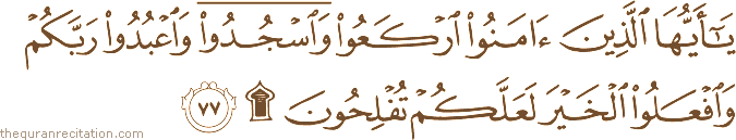 يَا أَيُّهَا الَّذِينَ آمَنُوا ارْكَعُوا وَاسْجُدُوا وَاعْبُدُوا رَبَّكُمْ وَافْعَلُوا الْخَيْرَ لَعَلَّكُمْ تُفْلِحُونَ ۩