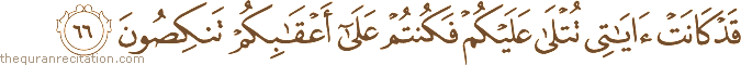 قَدْ كَانَتْ آيَاتِي تُتْلَىٰ عَلَيْكُمْ فَكُنْتُمْ عَلَىٰ أَعْقَابِكُمْ تَنْكِصُونَ