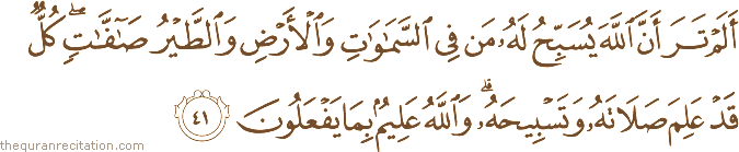 أَلَمْ تَرَ أَنَّ اللَّهَ يُسَبِّحُ لَهُ مَنْ فِي السَّمَاوَاتِ وَالْأَرْضِ وَالطَّيْرُ صَافَّاتٍ ۖ كُلٌّ قَدْ عَلِمَ صَلَاتَهُ وَتَسْبِيحَهُ ۗ وَاللَّهُ عَلِيمٌ بِمَا يَفْعَلُونَ