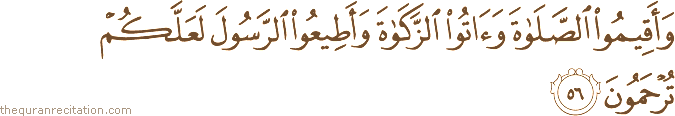 وَأَقِيمُوا الصَّلَاةَ وَآتُوا الزَّكَاةَ وَأَطِيعُوا الرَّسُولَ لَعَلَّكُمْ تُرْحَمُونَ