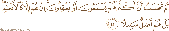 أَمْ تَحْسَبُ أَنَّ أَكْثَرَهُمْ يَسْمَعُونَ أَوْ يَعْقِلُونَ ۚ إِنْ هُمْ إِلَّا كَالْأَنْعَامِ ۖ بَلْ هُمْ أَضَلُّ سَبِيلًا