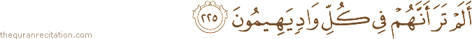أَلَمْ تَرَ أَنَّهُمْ فِي كُلِّ وَادٍ يَهِيمُونَ