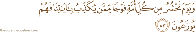 وَيَوْمَ نَحْشُرُ مِنْ كُلِّ أُمَّةٍ فَوْجًا مِمَّنْ يُكَذِّبُ بِآيَاتِنَا فَهُمْ يُوزَعُونَ
