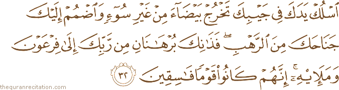 اسْلُكْ يَدَكَ فِي جَيْبِكَ تَخْرُجْ بَيْضَاءَ مِنْ غَيْرِ سُوءٍ وَاضْمُمْ إِلَيْكَ جَنَاحَكَ مِنَ الرَّهْبِ ۖ فَذَانِكَ بُرْهَانَانِ مِنْ رَبِّكَ إِلَىٰ فِرْعَوْنَ وَمَلَئِهِ ۚ إِنَّهُمْ كَانُوا قَوْمًا فَاسِقِينَ