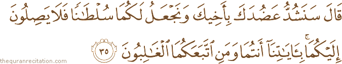 قَالَ سَنَشُدُّ عَضُدَكَ بِأَخِيكَ وَنَجْعَلُ لَكُمَا سُلْطَانًا فَلَا يَصِلُونَ إِلَيْكُمَا ۚ بِآيَاتِنَا أَنْتُمَا وَمَنِ اتَّبَعَكُمَا الْغَالِبُونَ