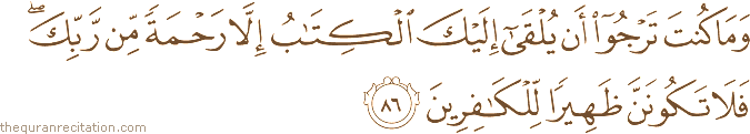 وَمَا كُنْتَ تَرْجُو أَنْ يُلْقَىٰ إِلَيْكَ الْكِتَابُ إِلَّا رَحْمَةً مِنْ رَبِّكَ ۖ فَلَا تَكُونَنَّ ظَهِيرًا لِلْكَافِرِينَ