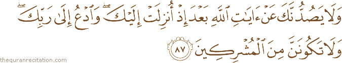 وَلَا يَصُدُّنَّكَ عَنْ آيَاتِ اللَّهِ بَعْدَ إِذْ أُنْزِلَتْ إِلَيْكَ ۖ وَادْعُ إِلَىٰ رَبِّكَ ۖ وَلَا تَكُونَنَّ مِنَ الْمُشْرِكِينَ
